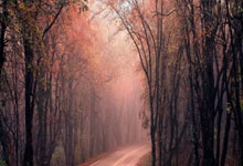 [CBA]CBA季赛12强出炉.