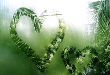 U20国主帅久尔杰维奇:首战赢球至关重要.