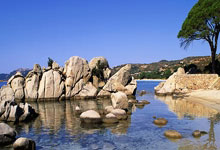 [CBA]CBA季赛12强出炉.